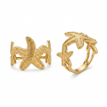 ANILLO ALMA